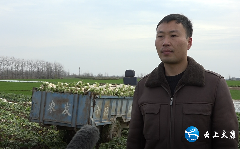 太康蔬菜丰收销路难企业助农显担当