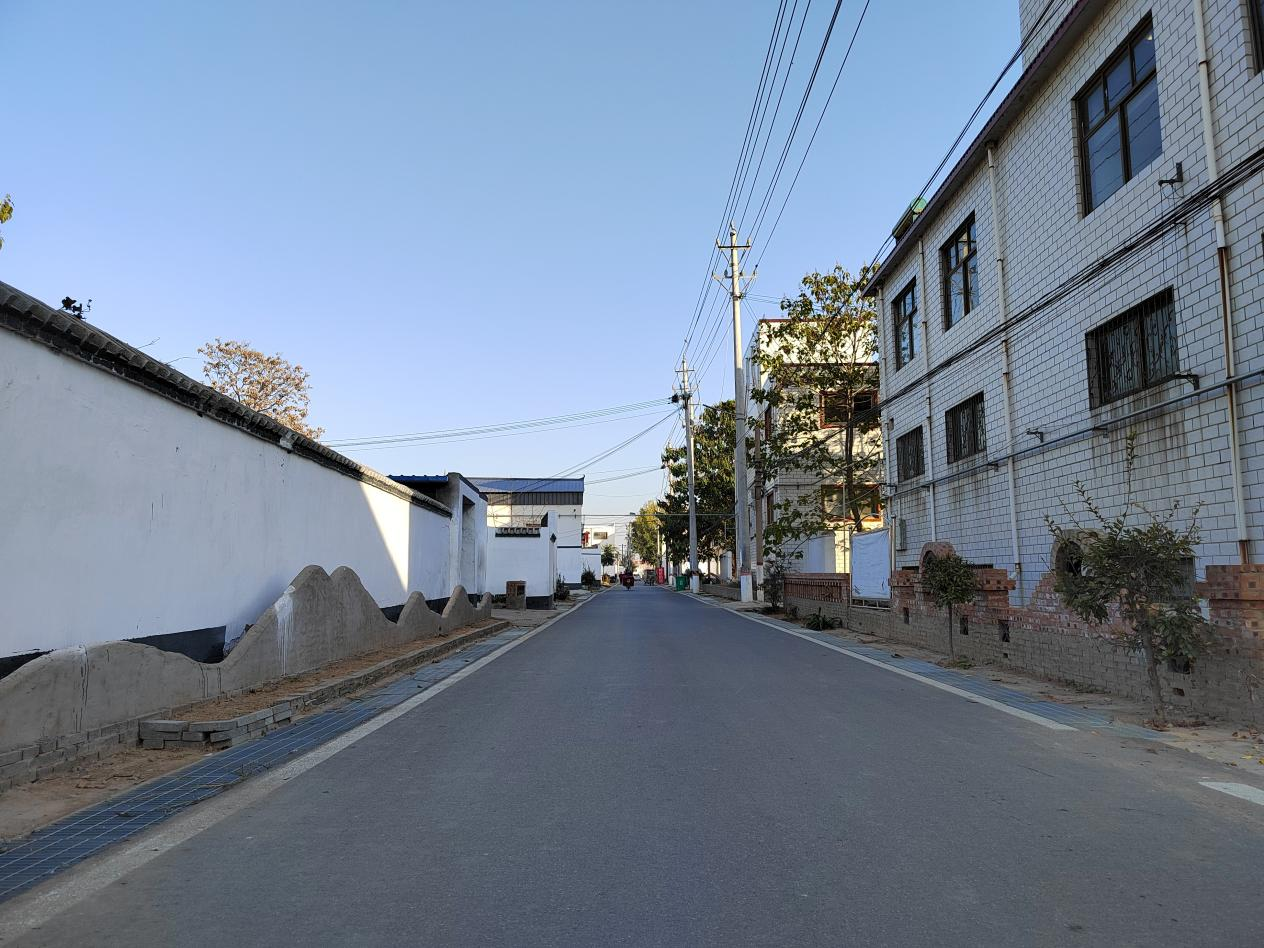 安阳县白璧镇西报德村五星支部创建开启乡村美颜键