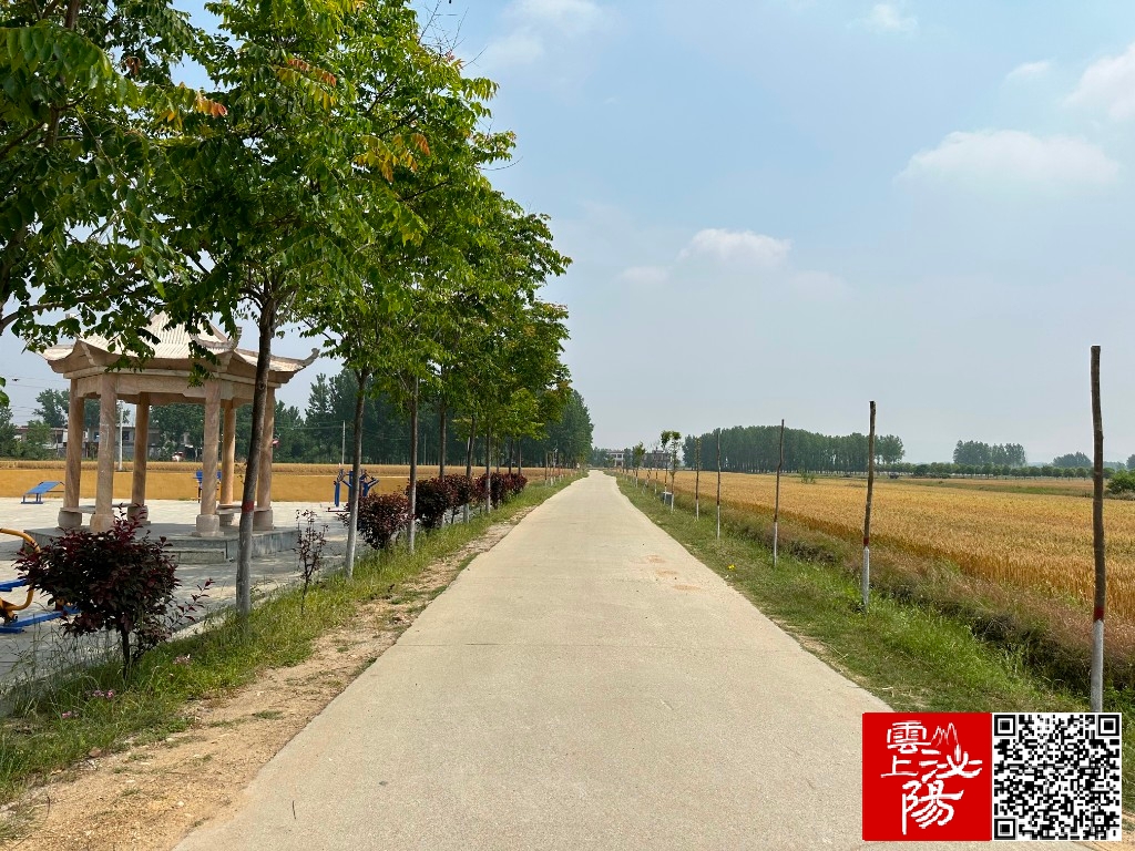 车在景中行人在画中走泌阳县郭集镇人居环境整治现成效