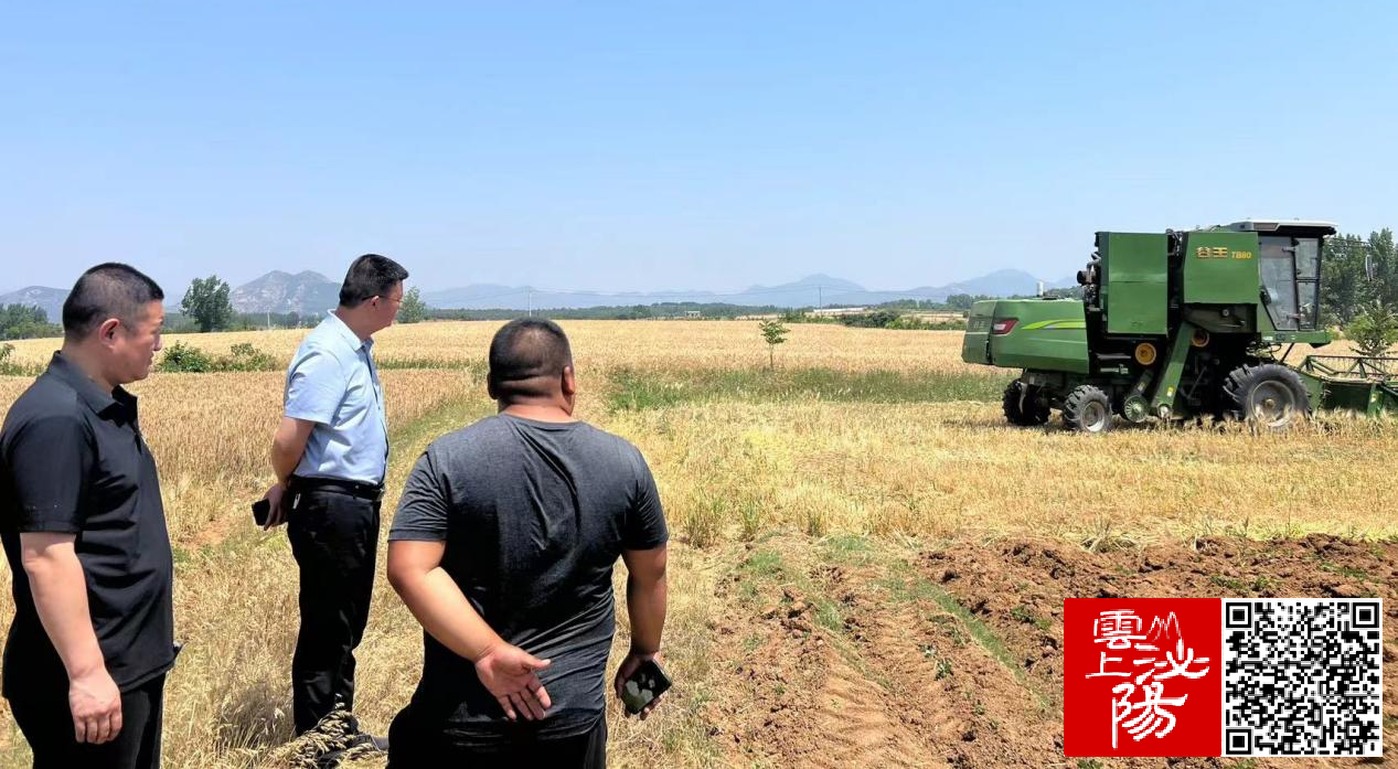 泌阳县下碑寺乡:吹响夏收冲锋号 喜迎麦收好丰景
