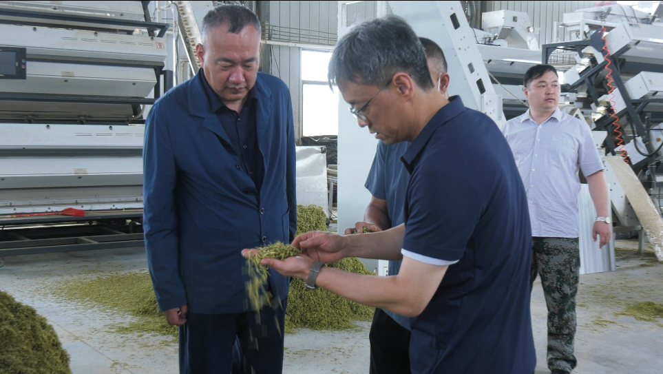 封丘县委书记县长王跃峰调研指导三夏农业生产等工作