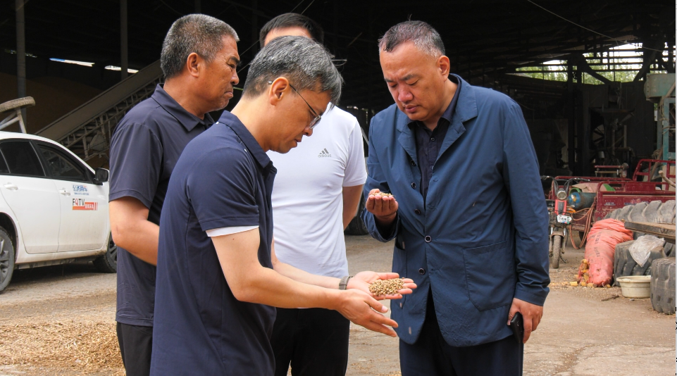 封丘县委书记县长王跃峰调研指导三夏农业生产等工作