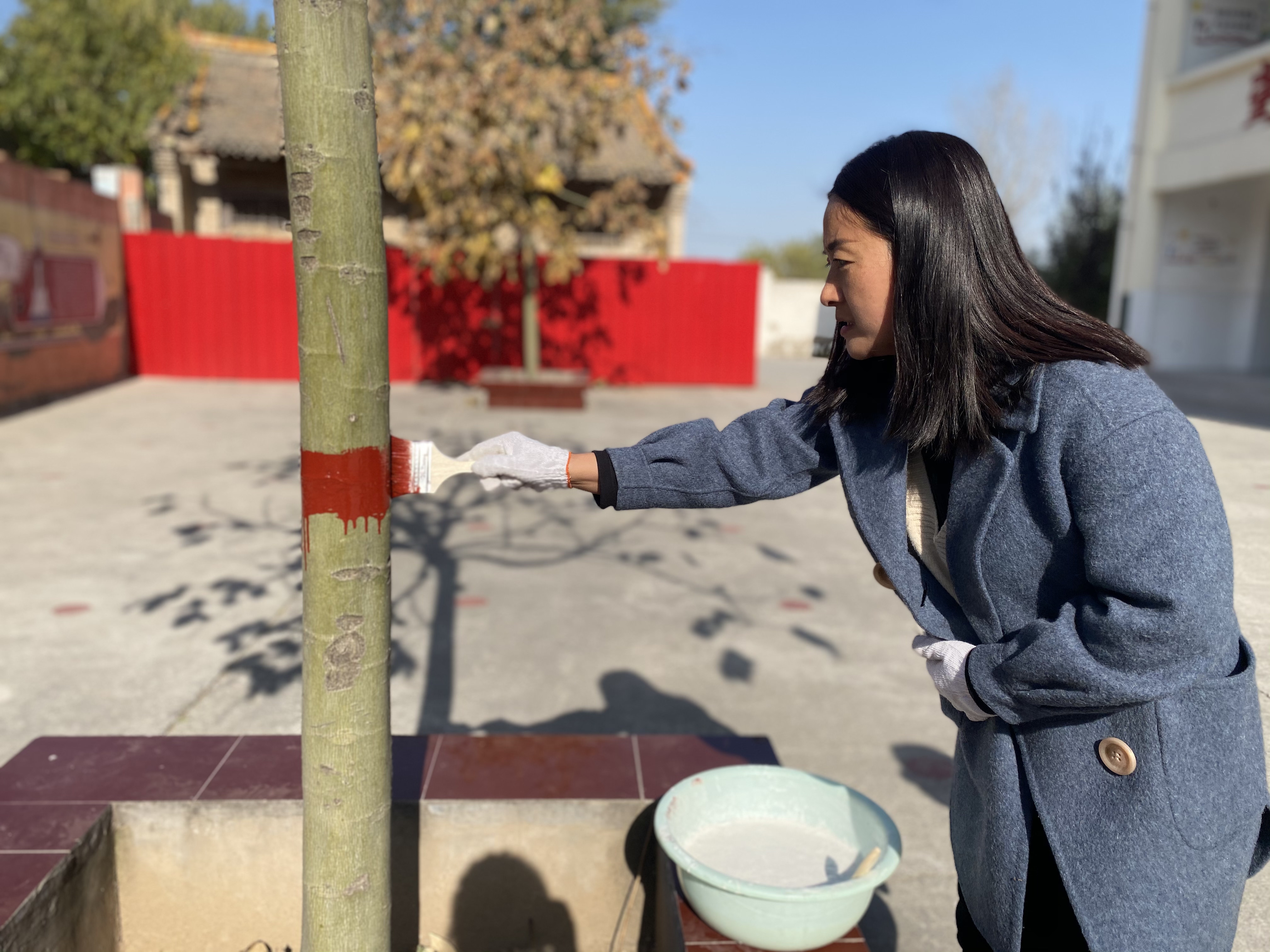 封丘县潘店镇我给小树穿新衣美化环境感恩自然
