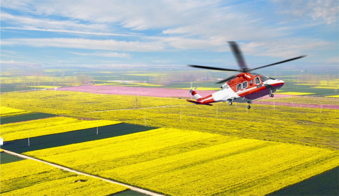 黄河春暖上青山 第八届陈桥湿地油菜花节约你来见!-大象网