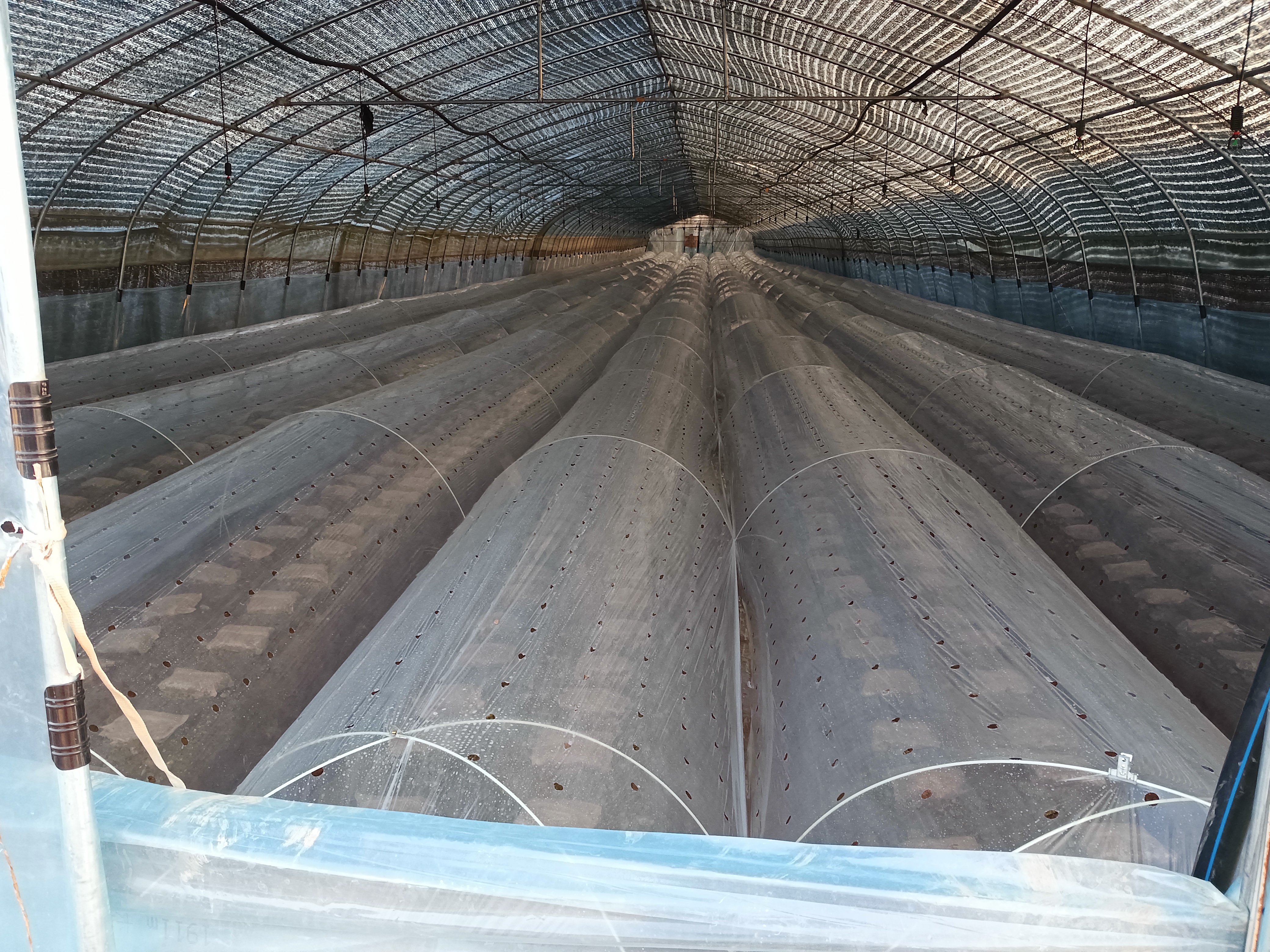 封丘县冯村乡:主动作为办实事 心系群众解民忧-大象网