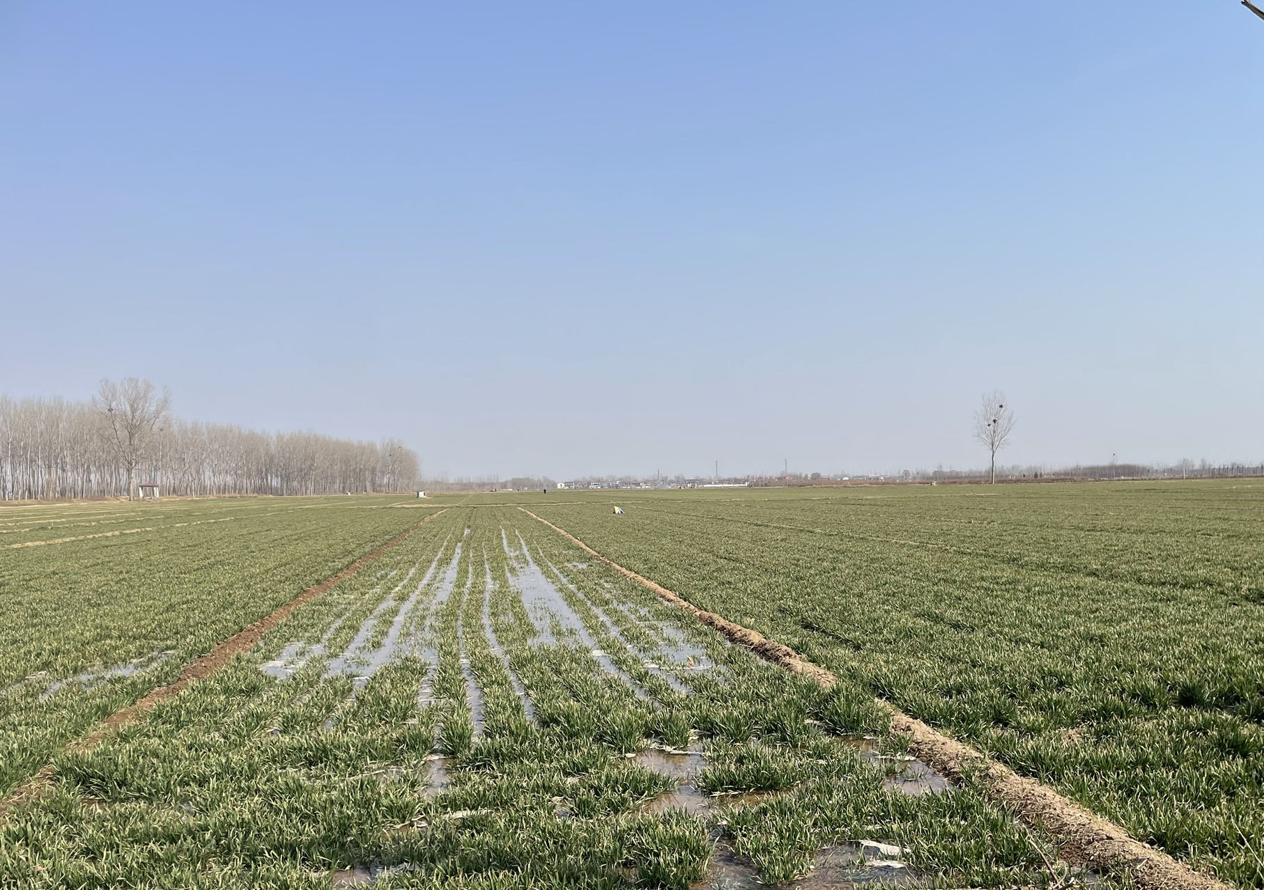 应举镇:万象"耕"新趁春风 清淤引水润麦田-大象网