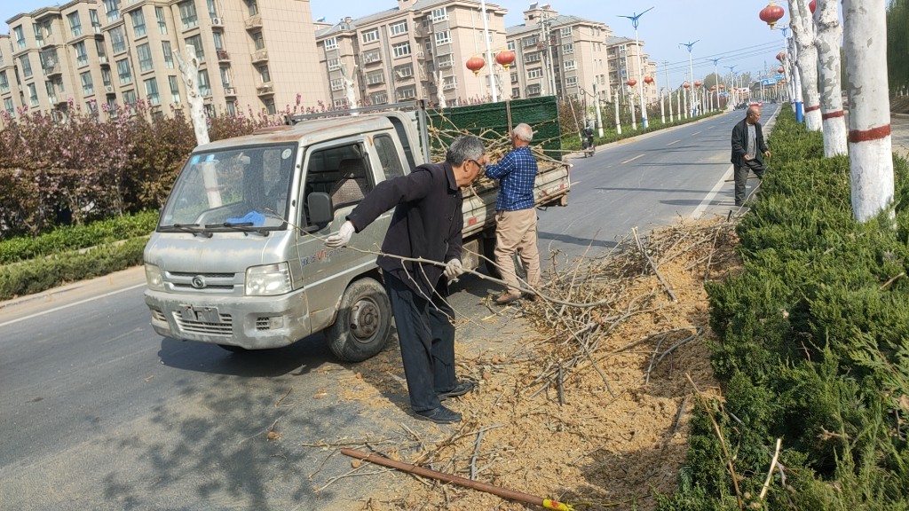封丘县李庄镇:人勤春意浓 人居环境展新颜-大象网