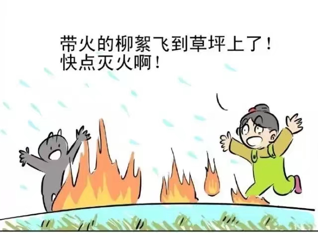 一封关于防范治理杨柳絮火灾的倡议书