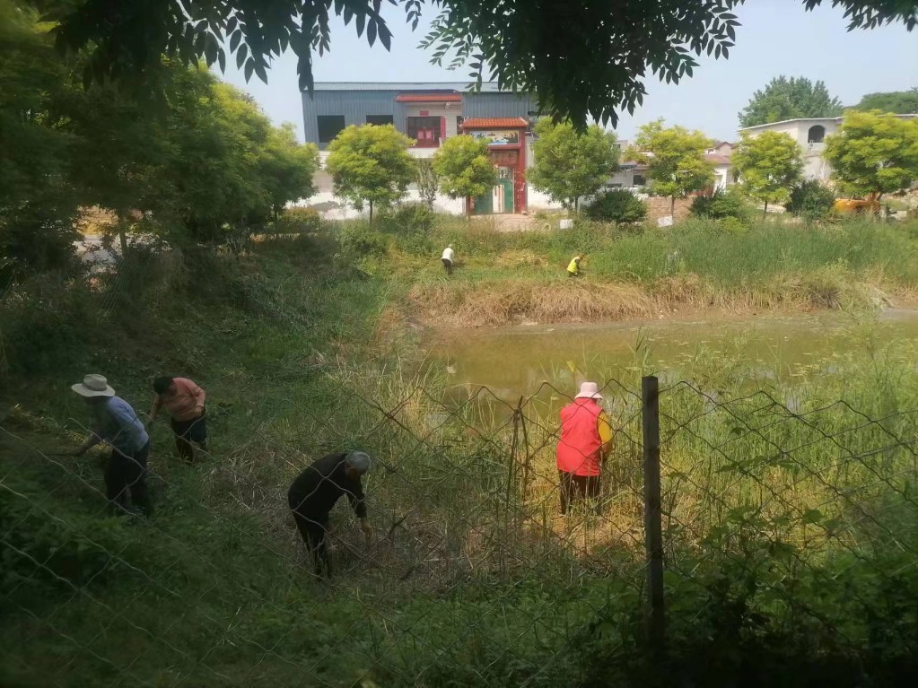 封丘县留光镇:周末无休再发力 环境整治不停歇