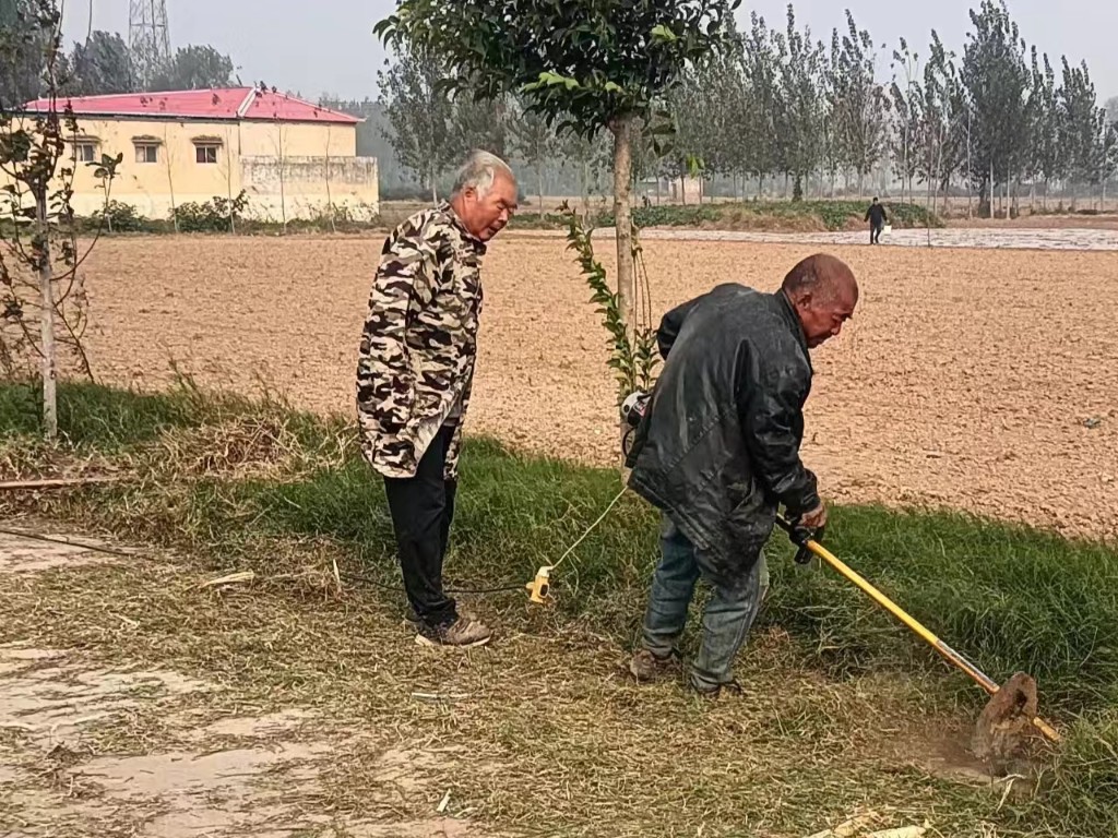 封丘县留光镇:清理杂草提"颜值" 美化环境保安全