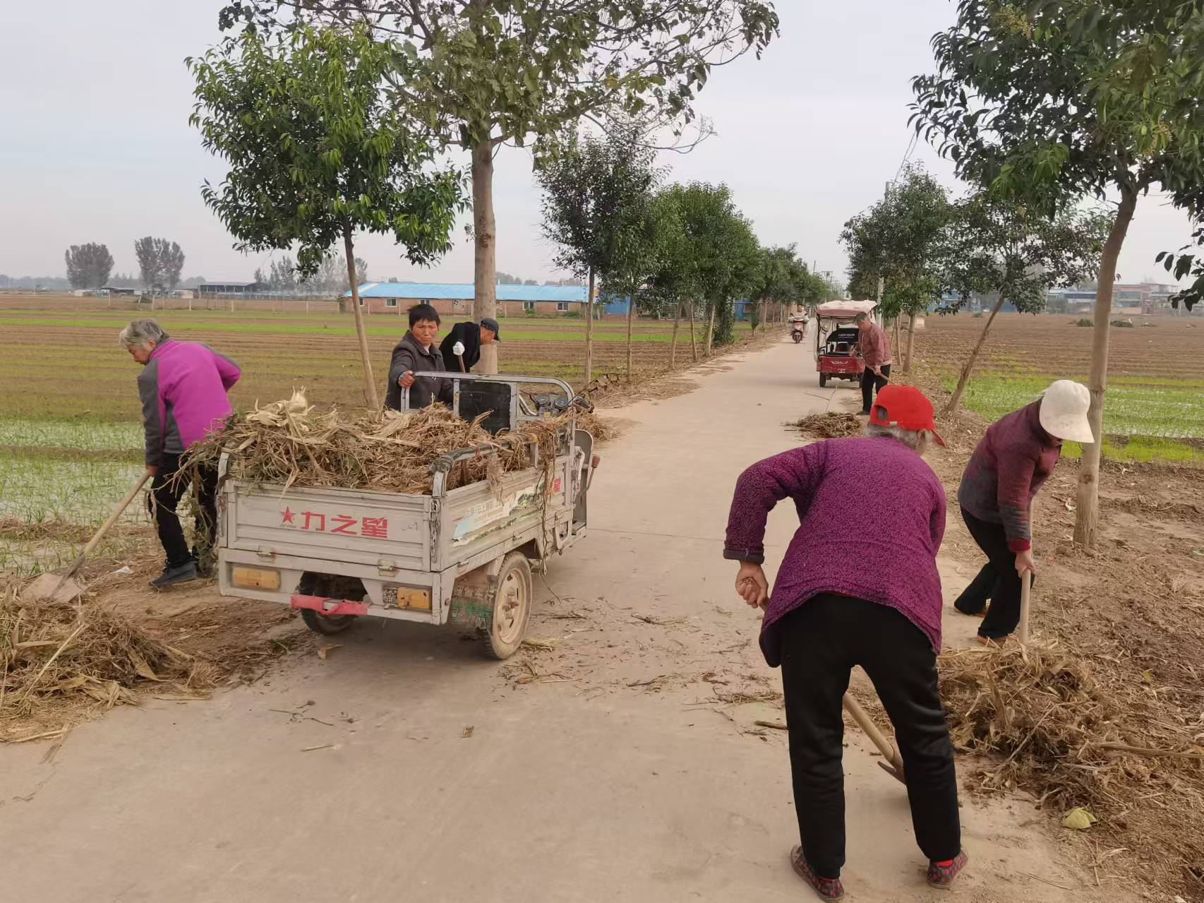 封丘县留光镇:秋季环境大整治 美丽家园建设不停步