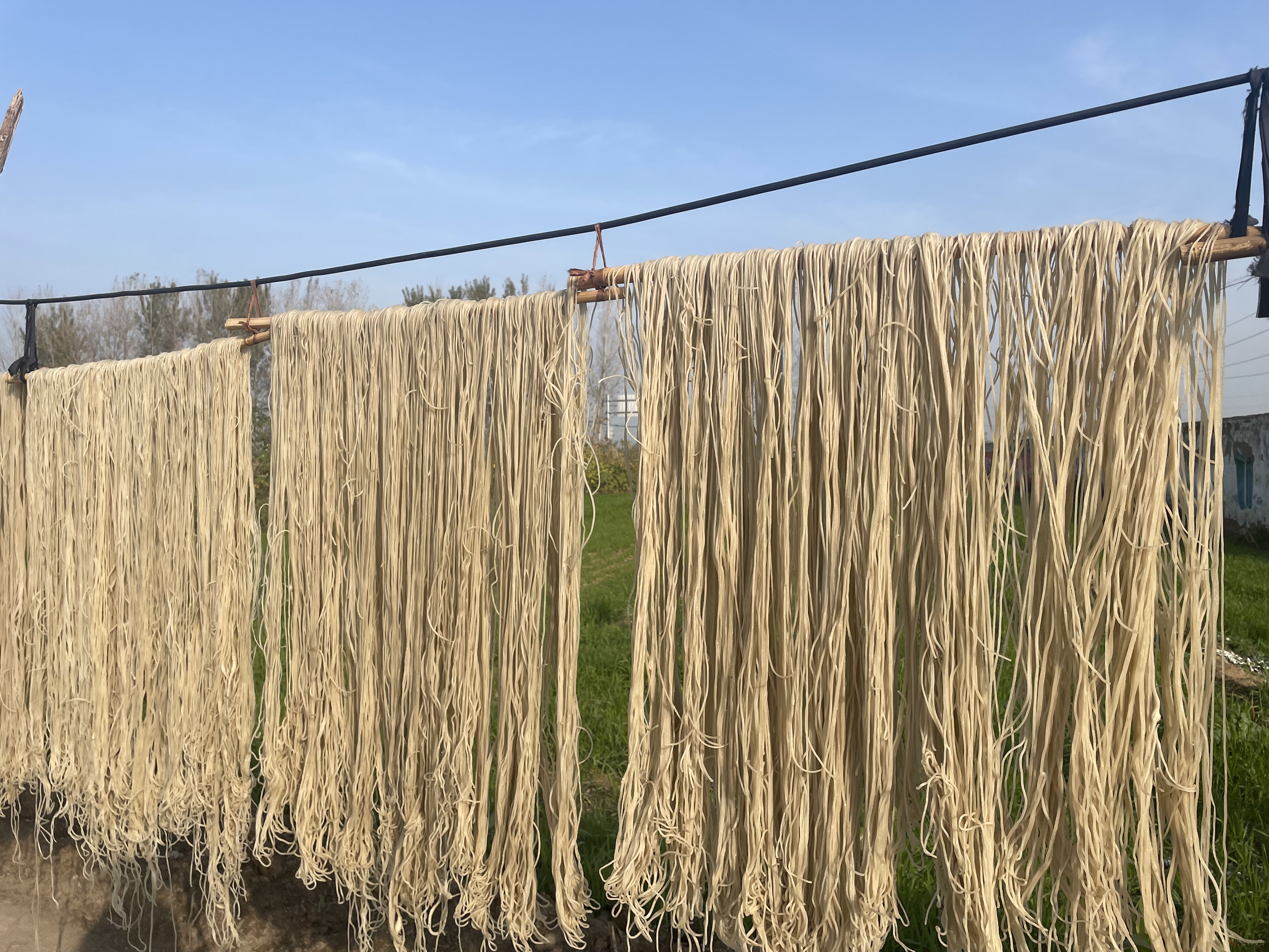 经过打芡,搅拌,出锅,冷冻,晾晒几个步骤,红薯摇身一变成为粉条,把冬闲