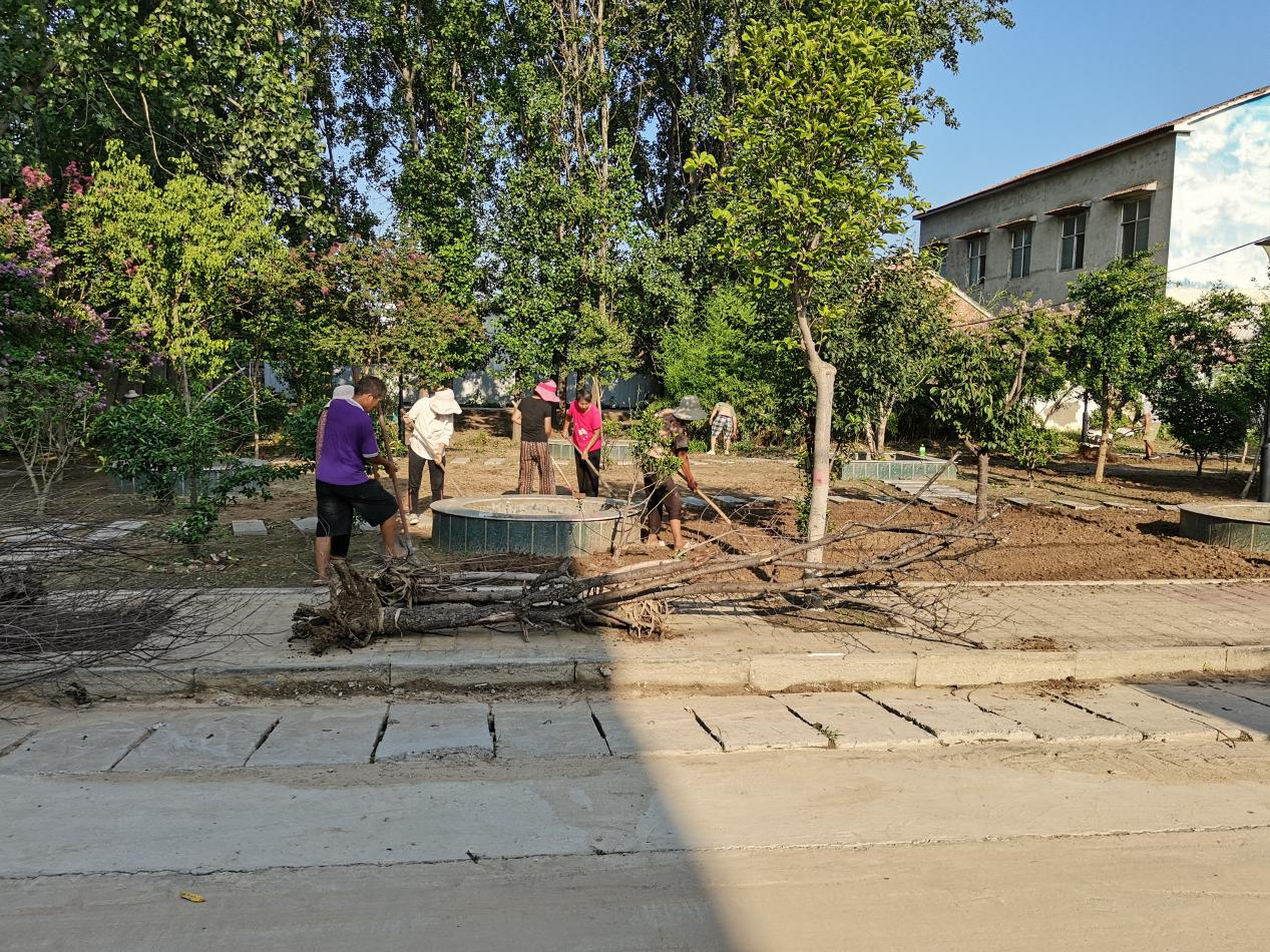 扶沟县大李庄乡深入开展爱国卫生运动努力扮靓城乡环境