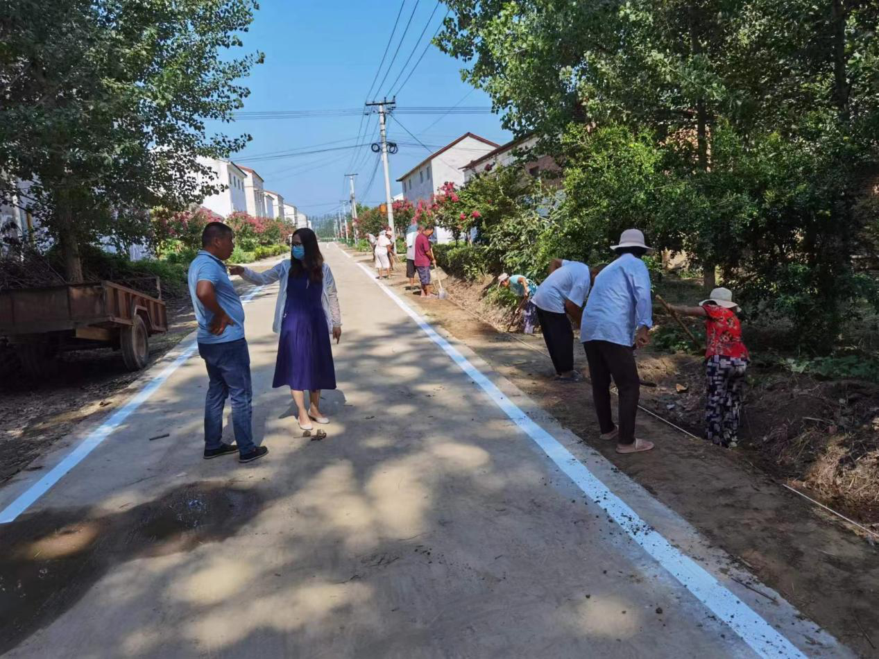 扶沟县大李庄乡深入开展爱国卫生运动努力扮靓城乡环境