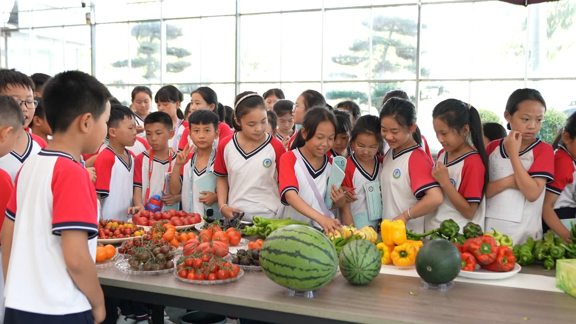 扶沟农业研学让自然和社会成为课堂