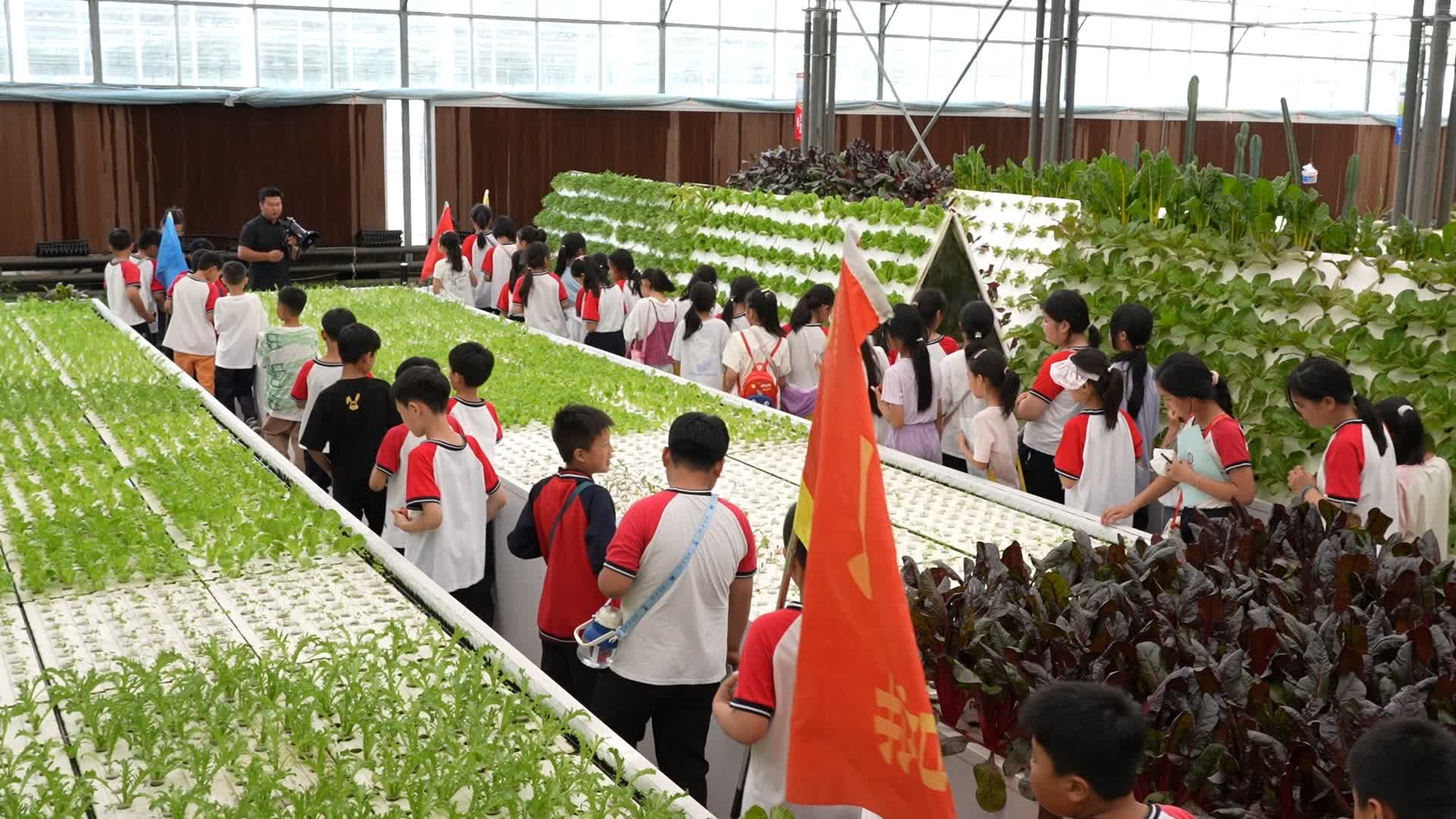 扶沟农业研学让自然和社会成为课堂