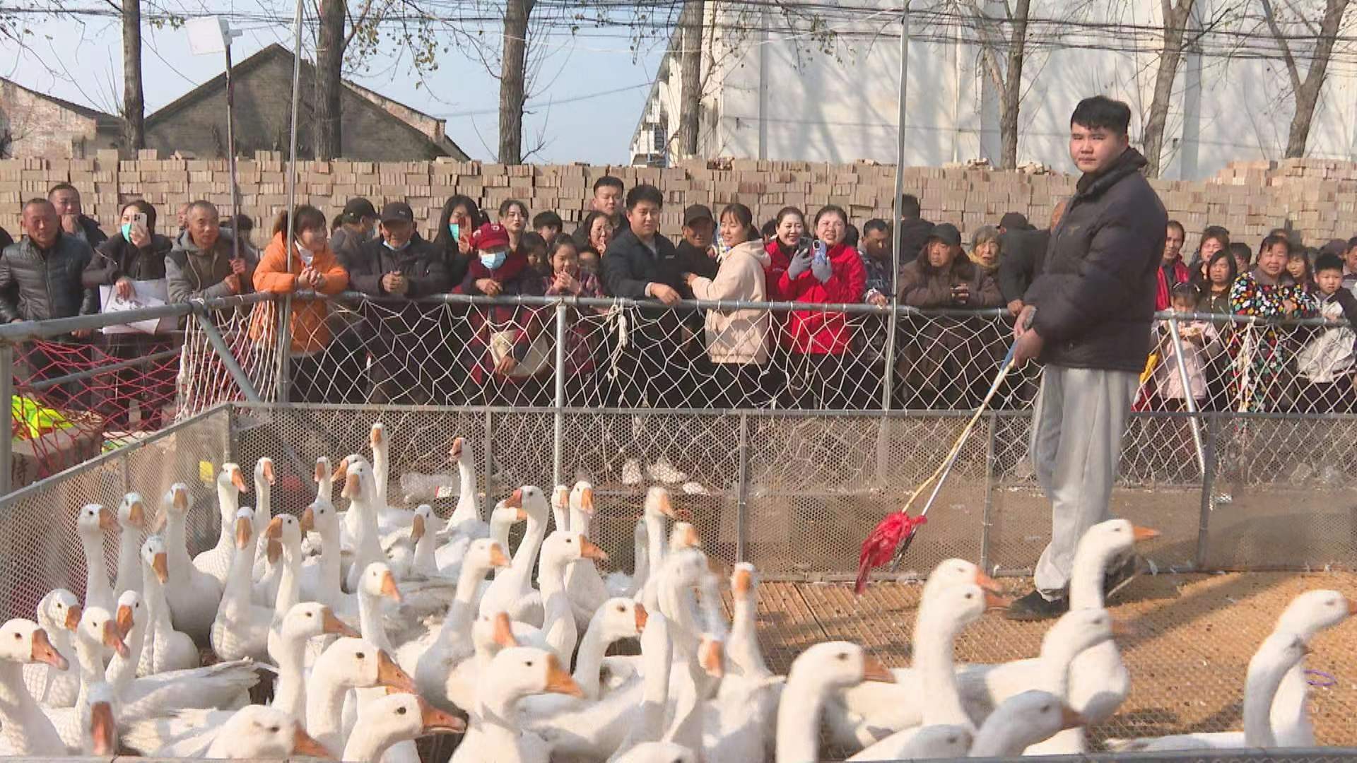 首頁>扶溝縣融媒體中心>正文>1920_1080