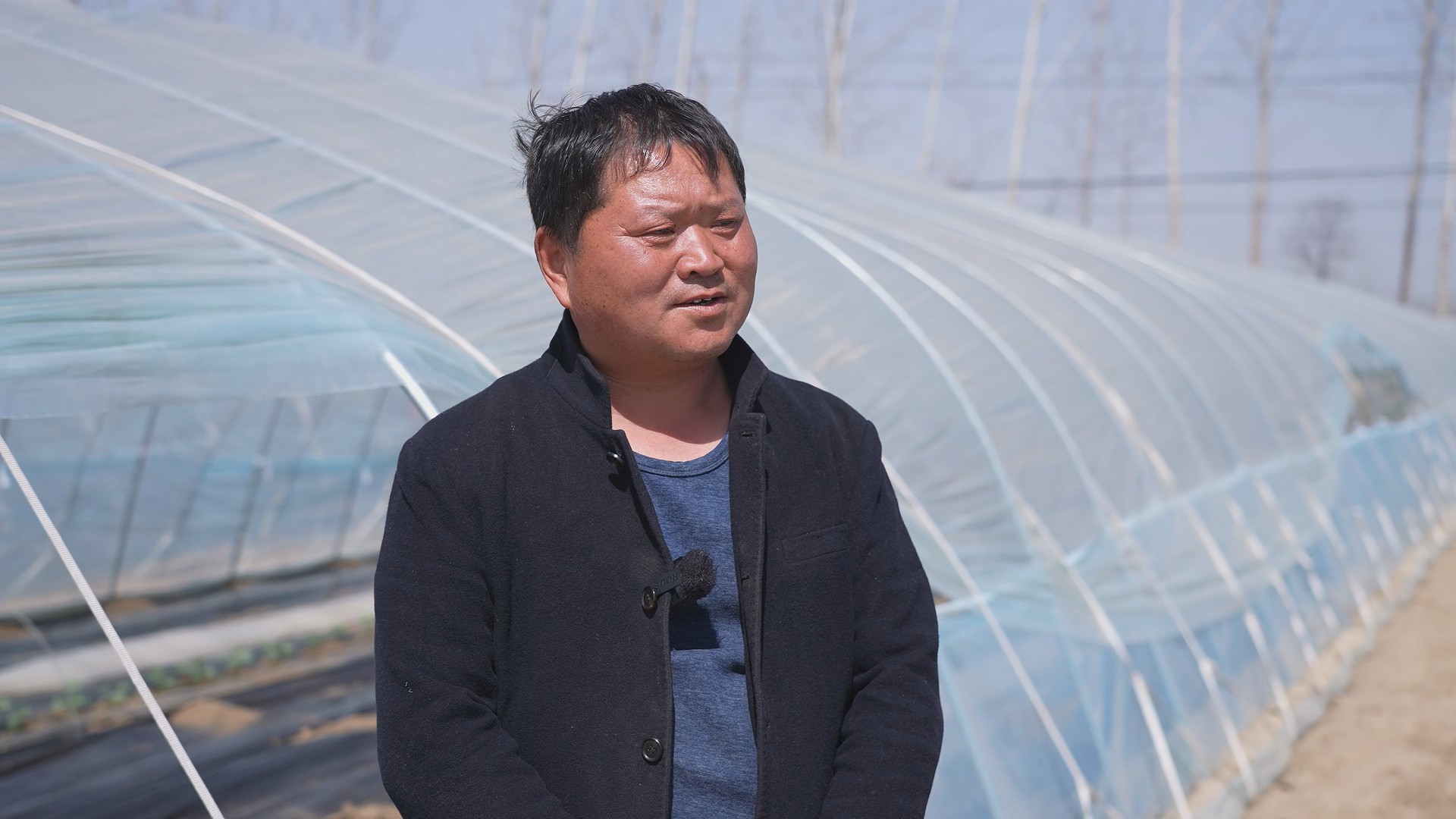 扶沟江村:棚菜产业助力乡村振兴-大象网