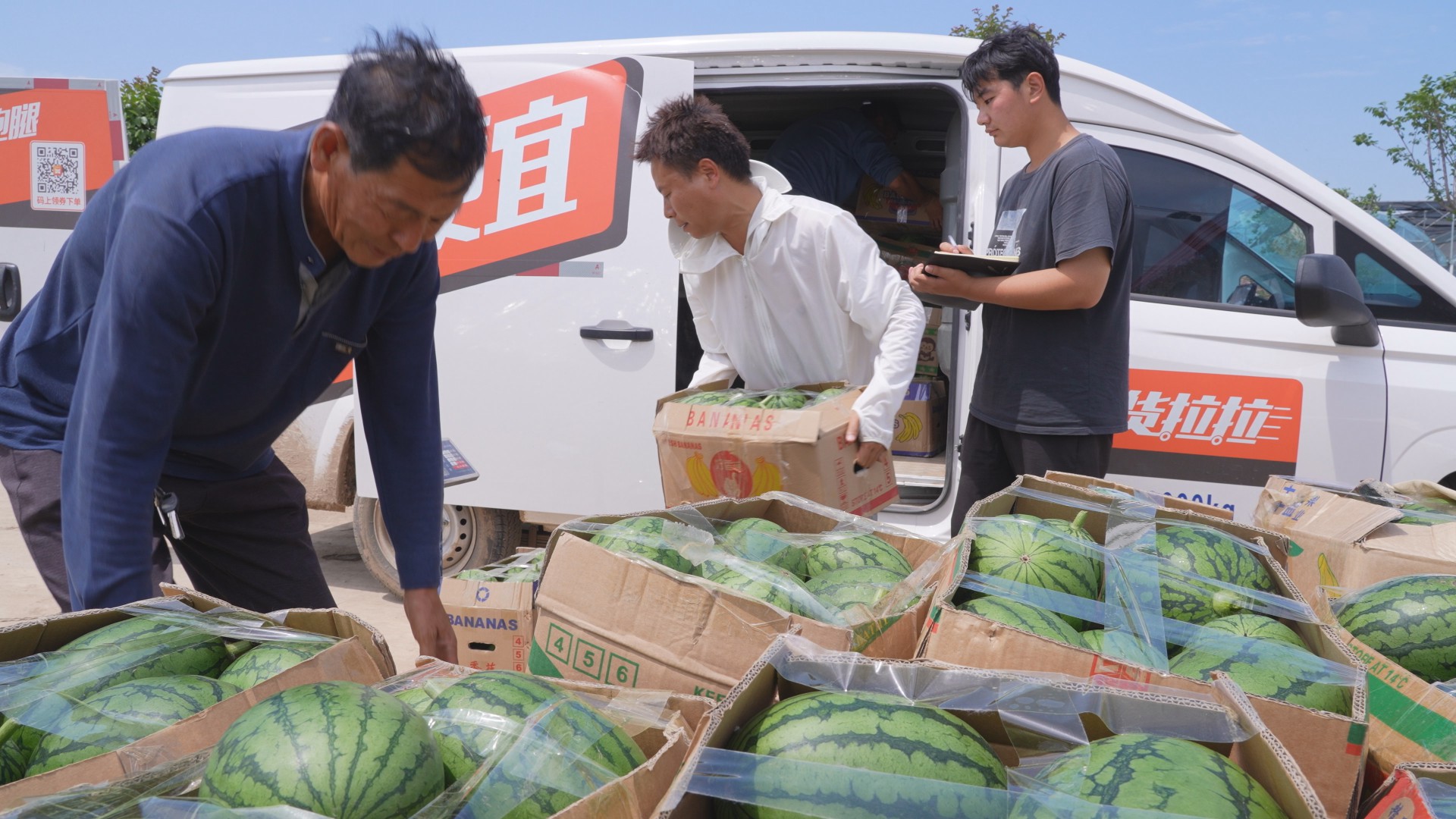 扶沟县柴岗:大棚西瓜"甜蜜"上市