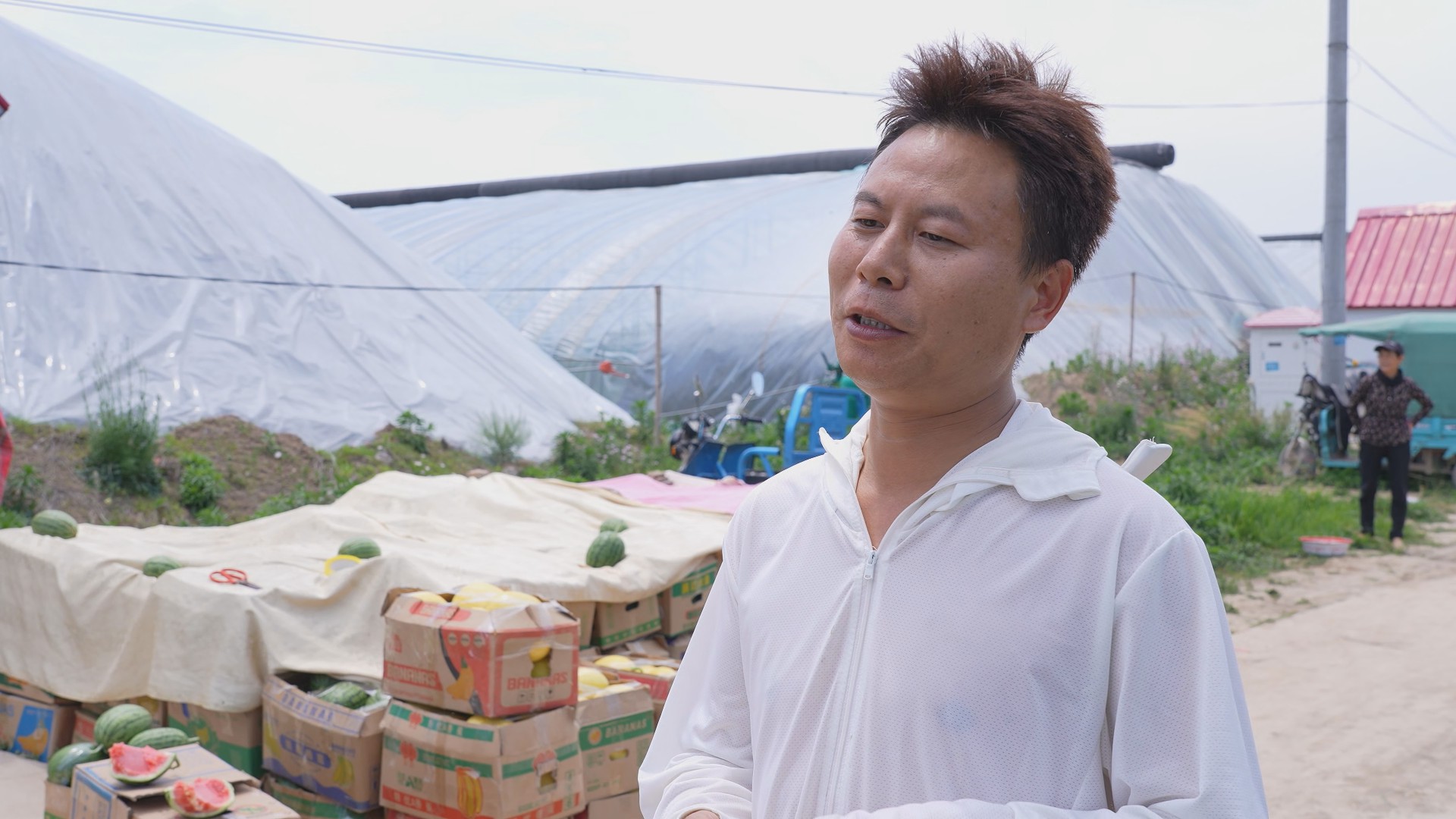 扶沟县柴岗:大棚西瓜"甜蜜"上市