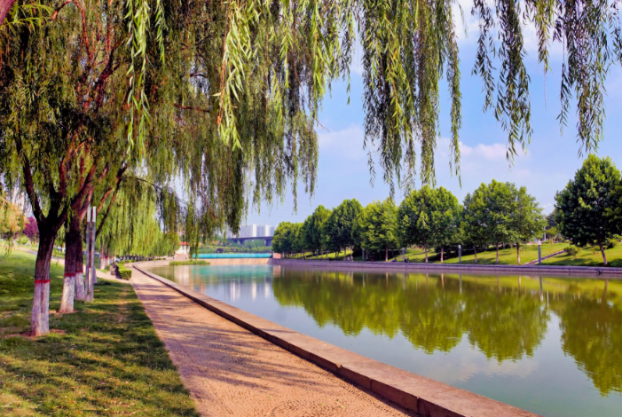 巩义石河道中央公园迎来一批新成员