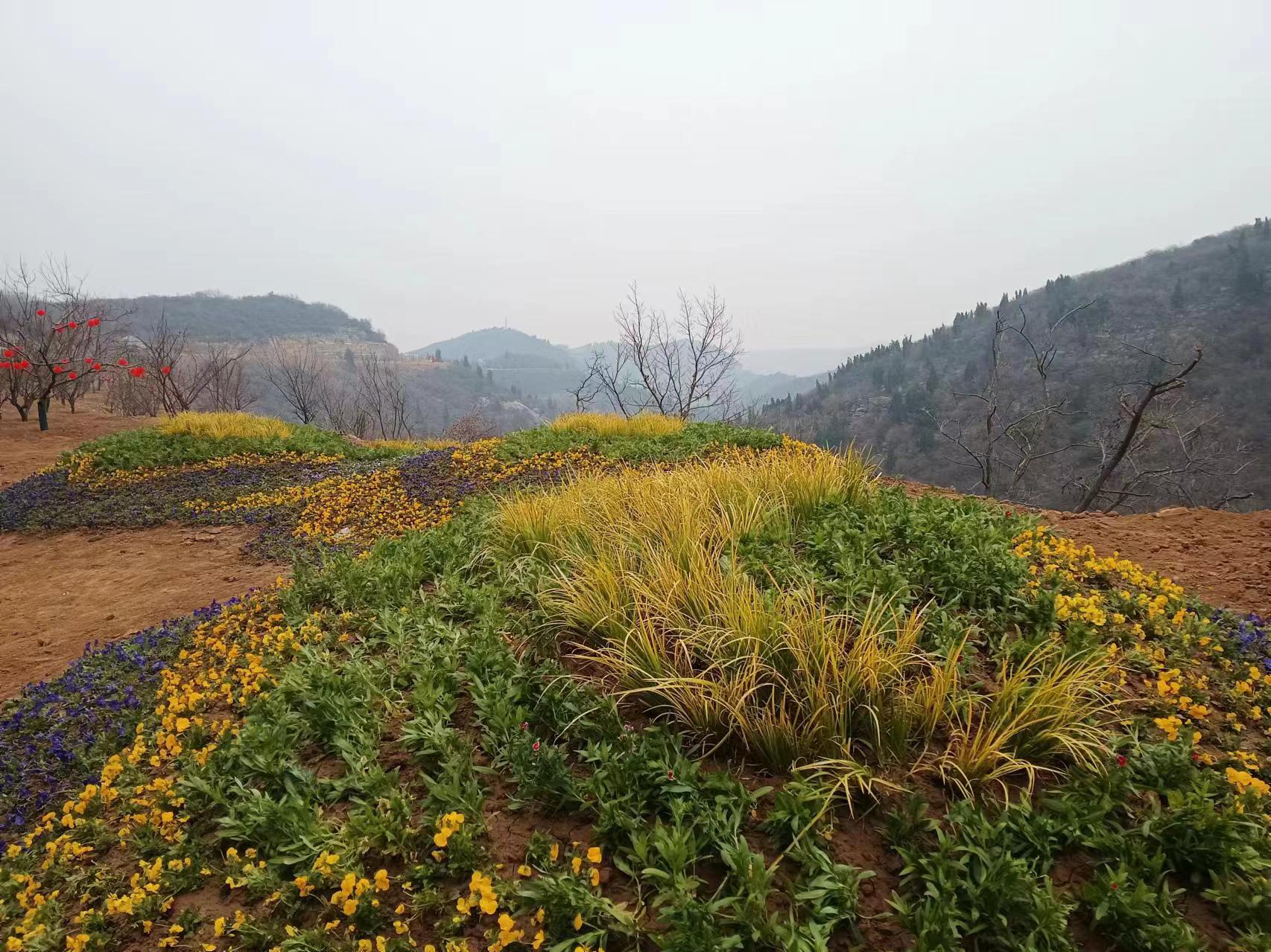 巩义竹林长寿山图片