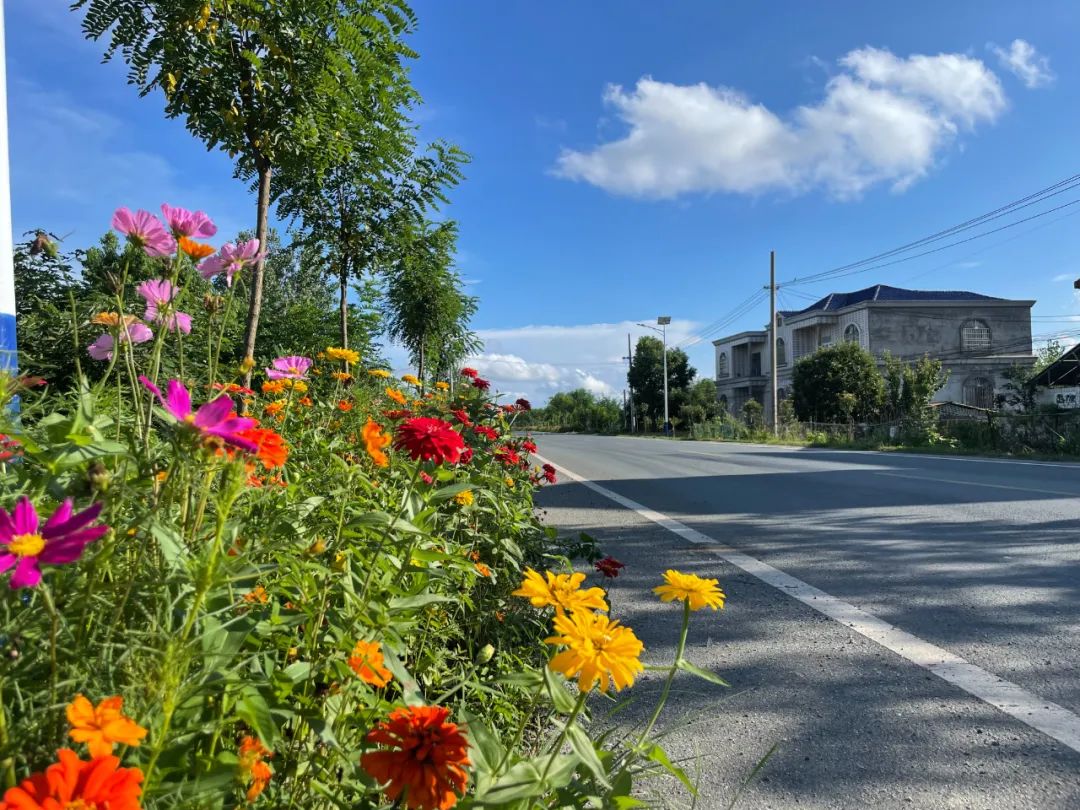 光山县仙居乡十里花廊扮靓美丽乡村