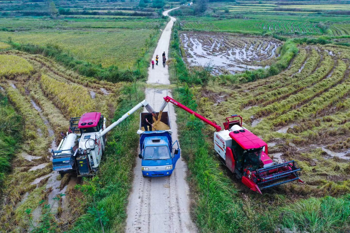 光山县泼陂河镇稳住粮袋子留住好空气