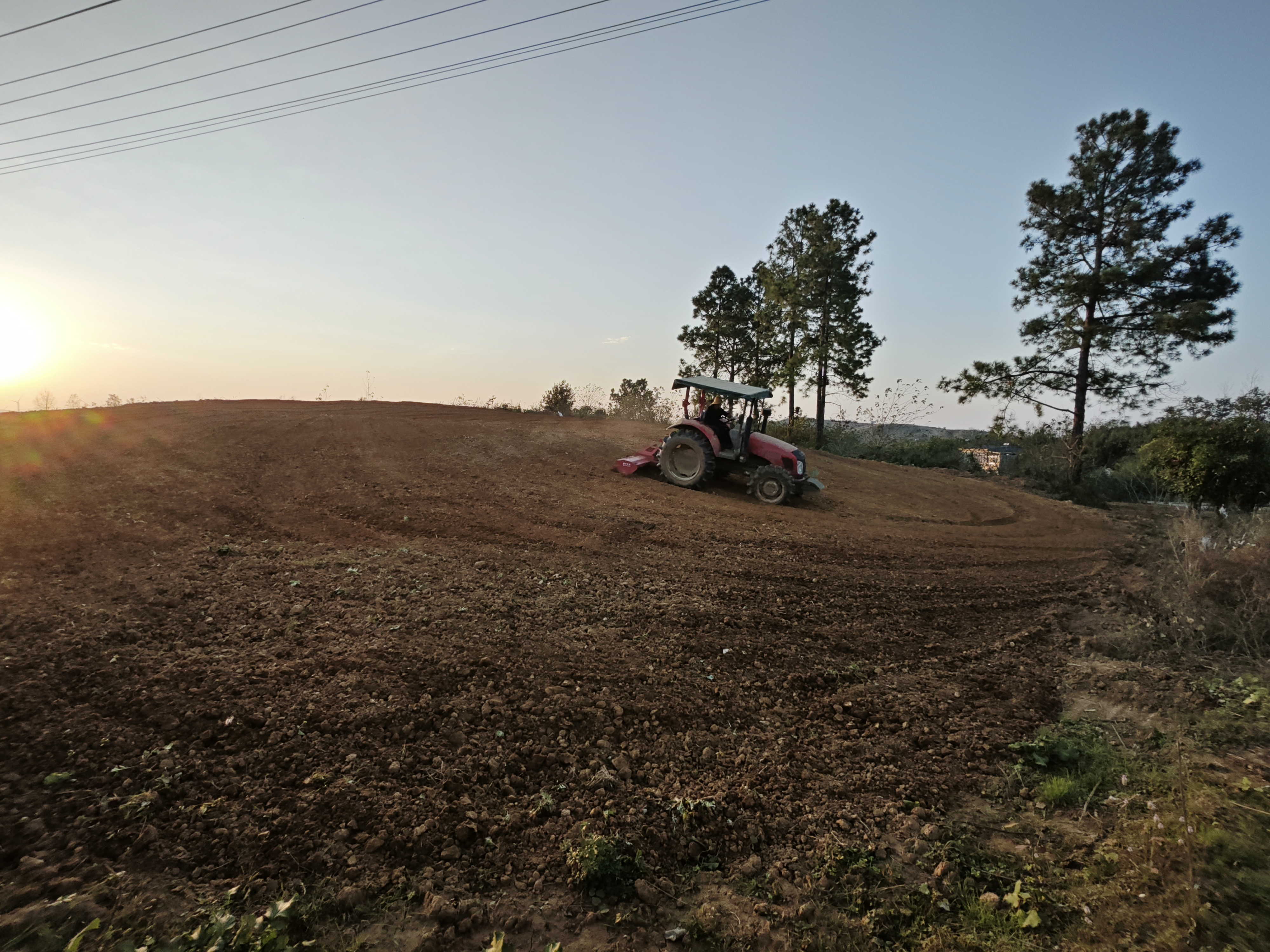 光山县罗陈乡复耕撂荒地播种增收田