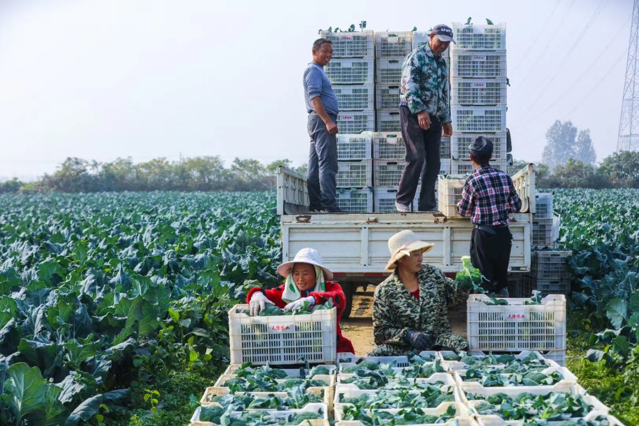 信阳光山孙铁铺那些事图片