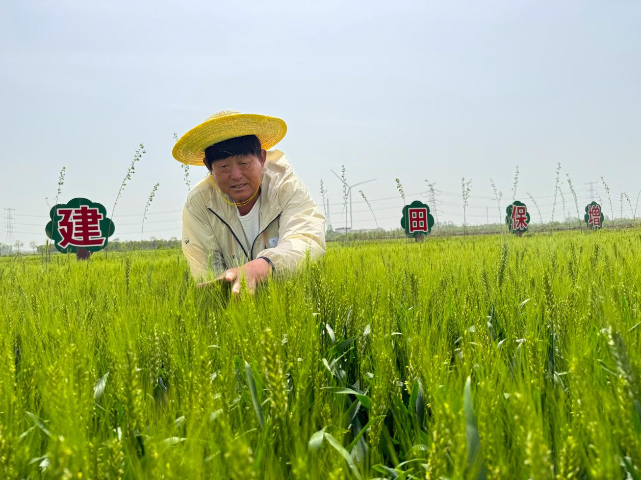 信阳光山孙铁铺那些事图片