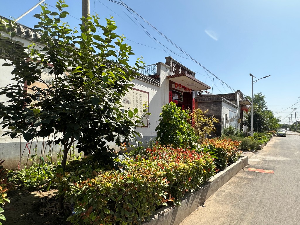 首页>头条>正文>"今年,镇上建设美丽乡村把绿化搞好了,村子变美了,村