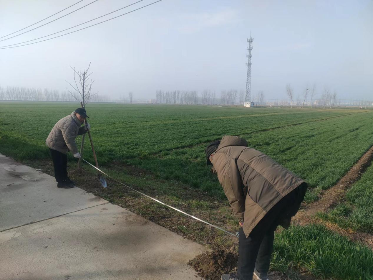 获嘉县亢村镇:织密农田林网 添绿美丽乡村-大象网