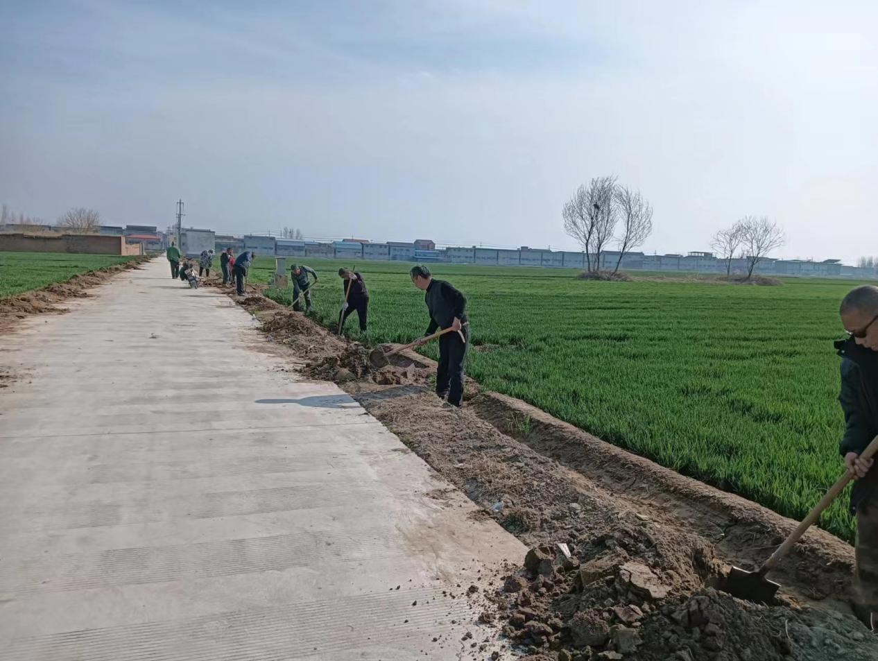 获嘉县亢村镇:织密农田林网 添绿美丽乡村-大象网