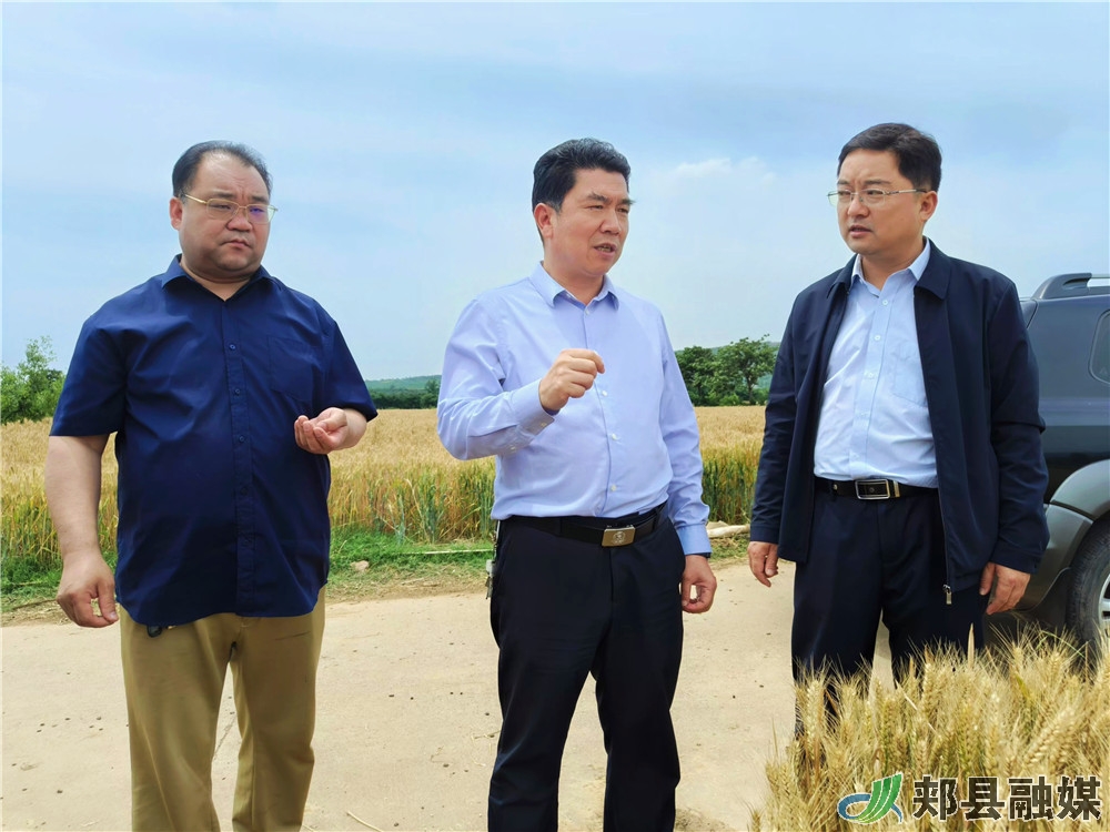 郏县领导李政杰调研三夏生产机收减损秸秆综合利用等工作