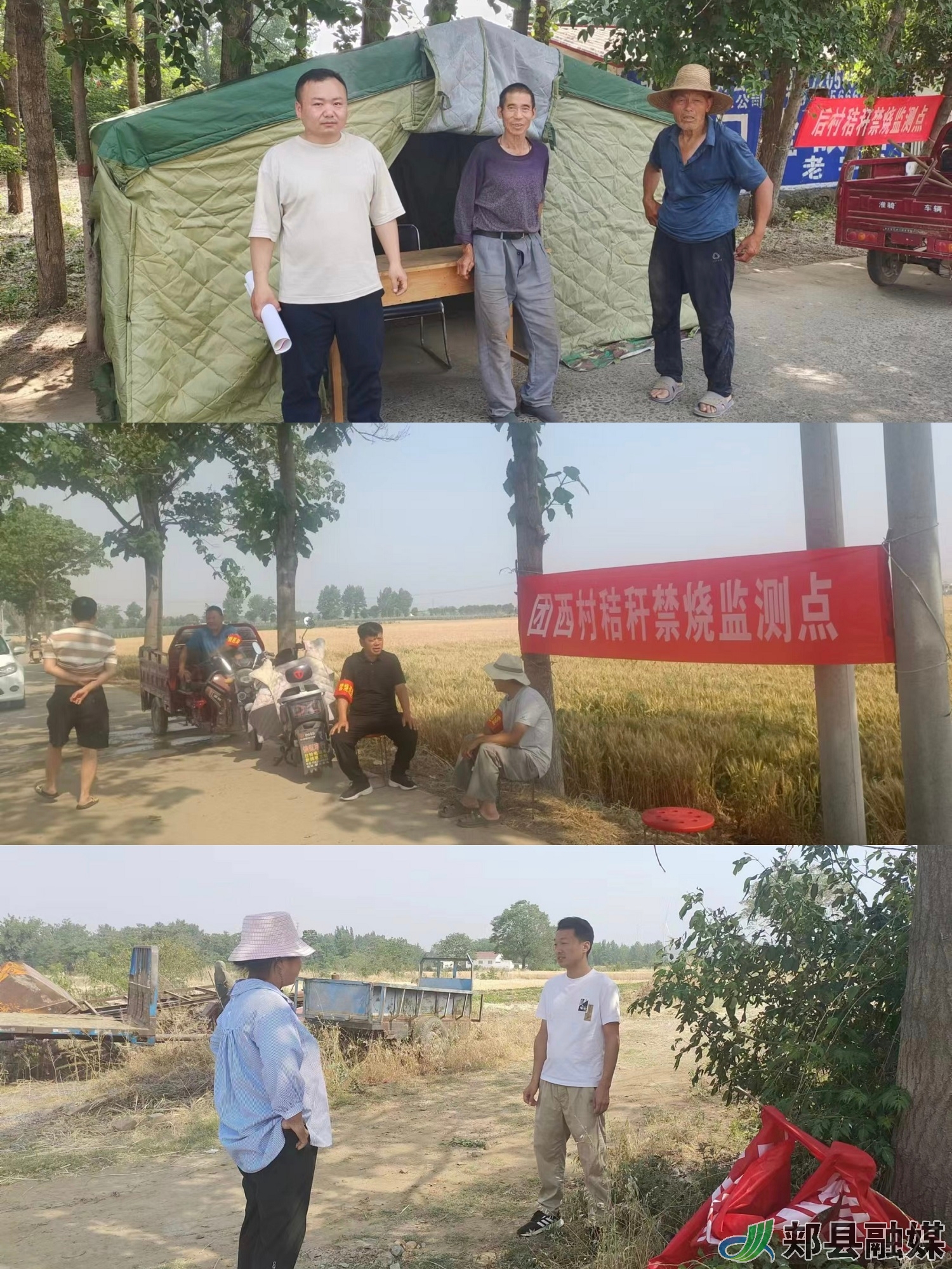 郏县白庙乡:"三夏"麦收忙 第一书记来帮忙