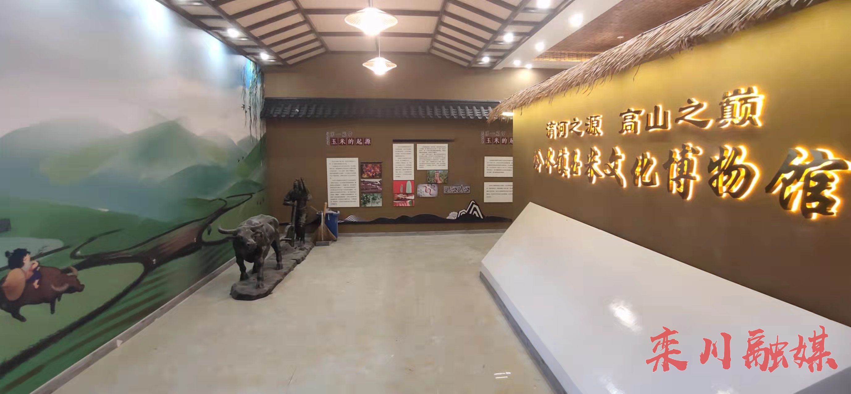 西增河乡贤周克武充分利用2360亩优质耕地,引进乡村运营公司,启动玉米