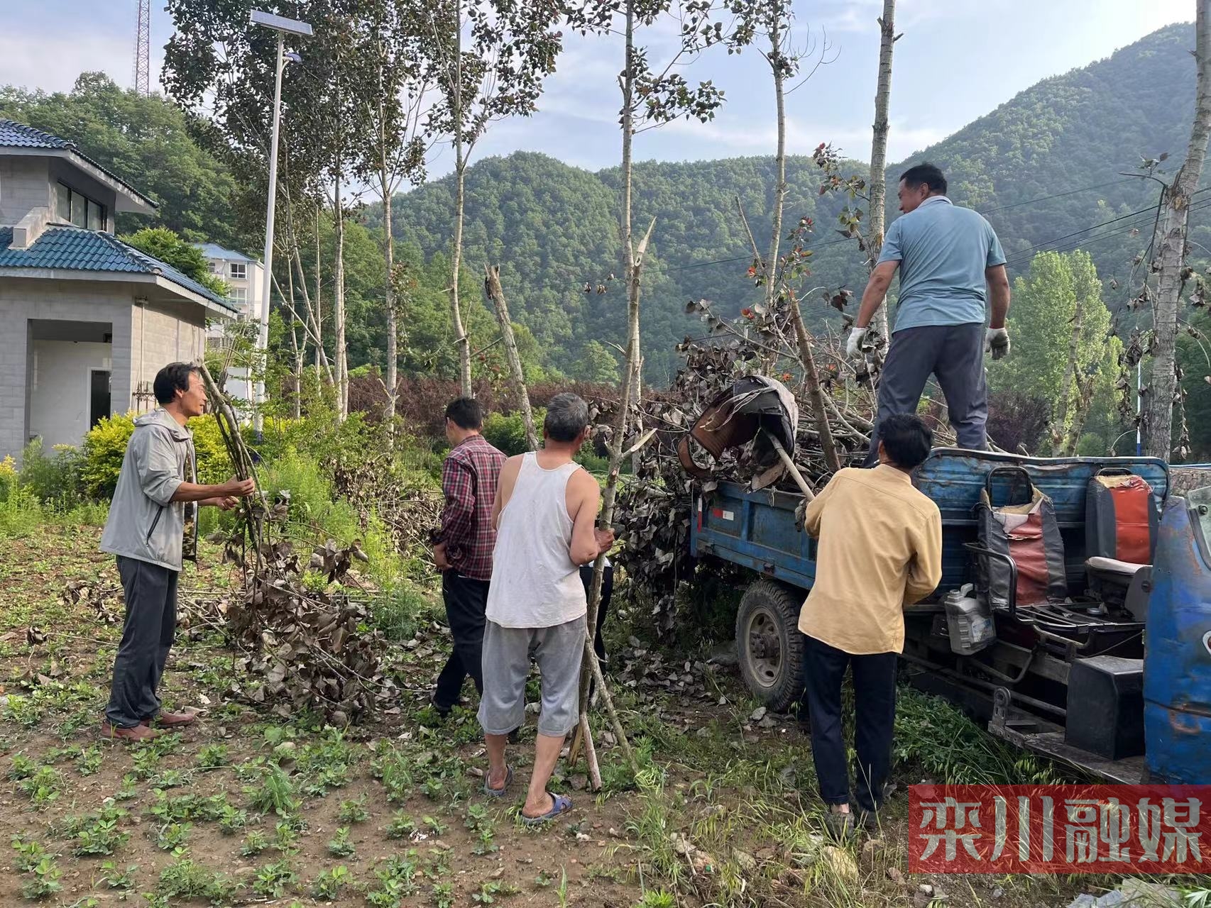 合峪镇:环境整治"再发力"村容村貌"再提升"