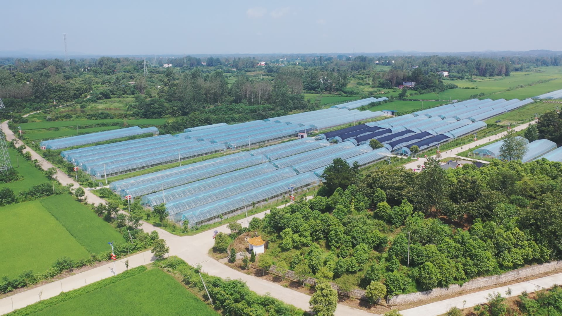 罗山县潘新镇多元化模式壮大村级集体经济