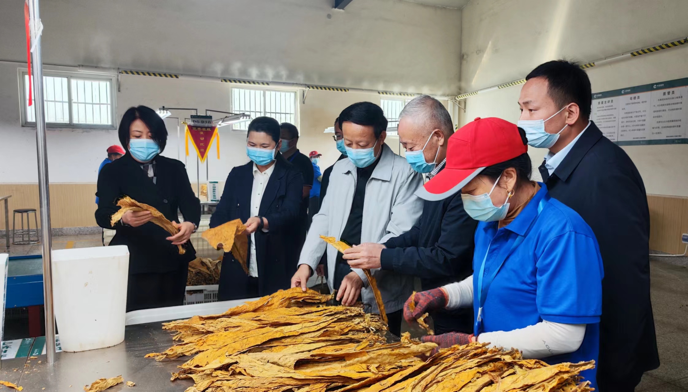 河南烟草于松灿图片