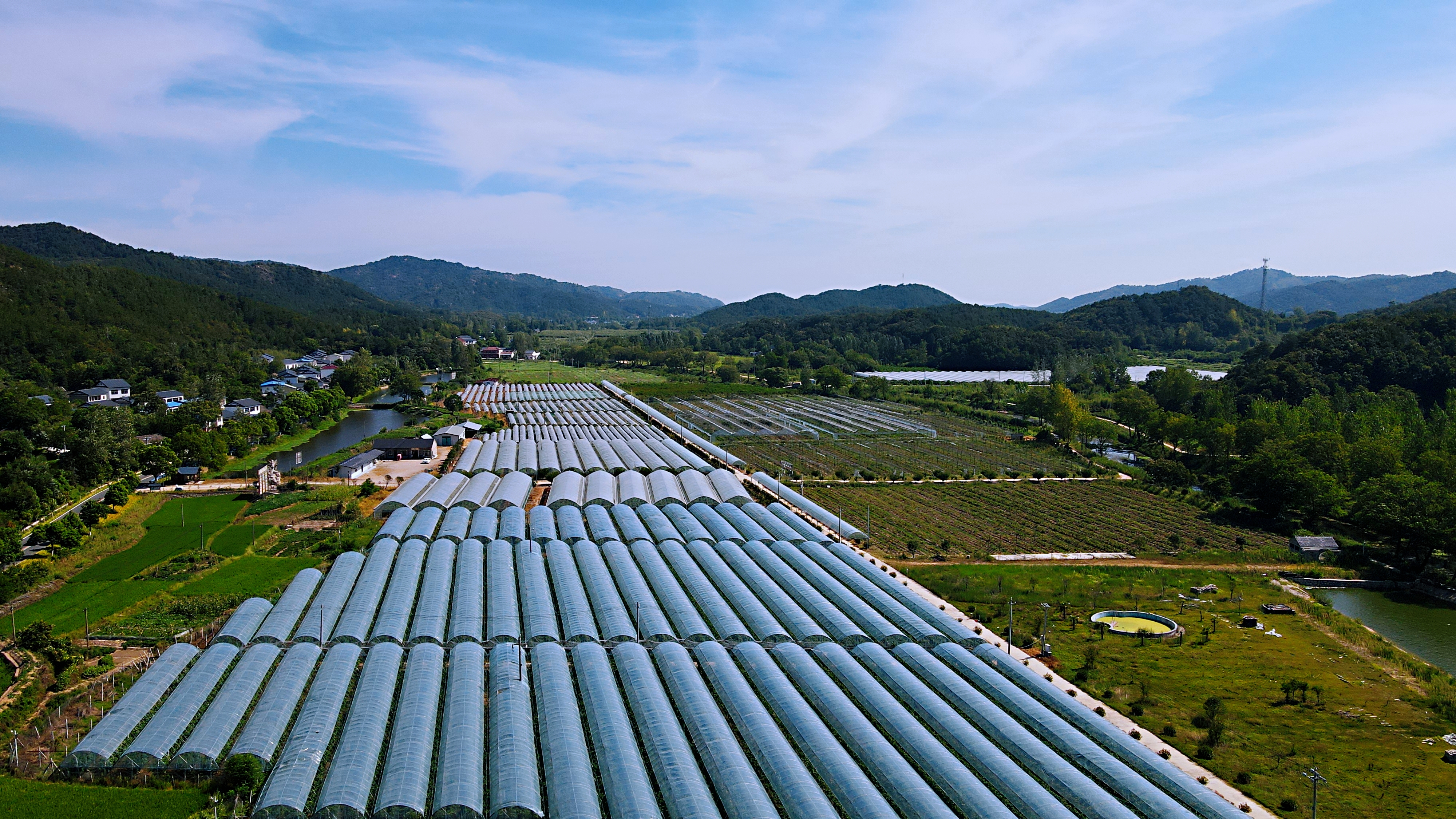 番禺灵山镇图片