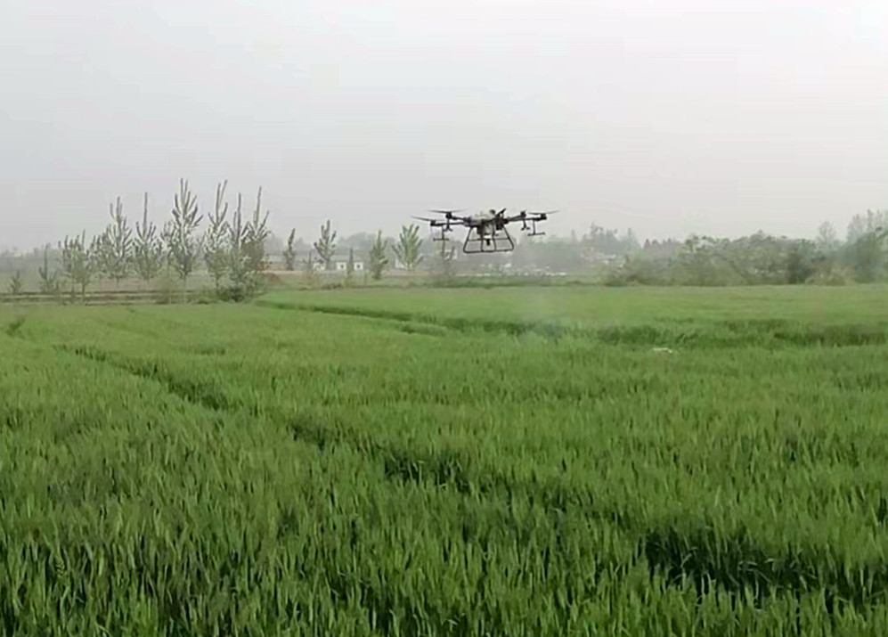 罗山县庙仙乡:用上"无人机" 种地省力气-大象网