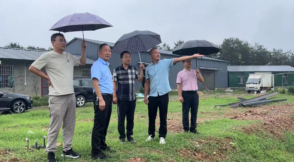 罗山县周党镇:闻"汛"而动"汛"速出击