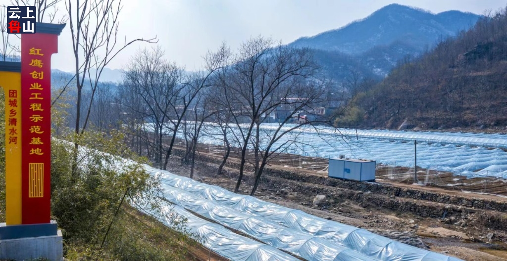 目前的寺溝村,村新,業興,景美,人和,成為市縣聞名的鄉村振興示範村.