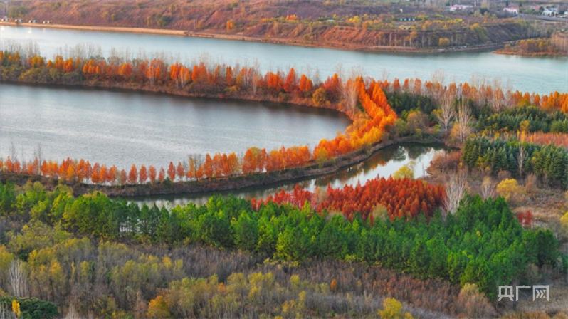 【央媒关注】孟津:黄河湿地 风光旖旎-大象网
