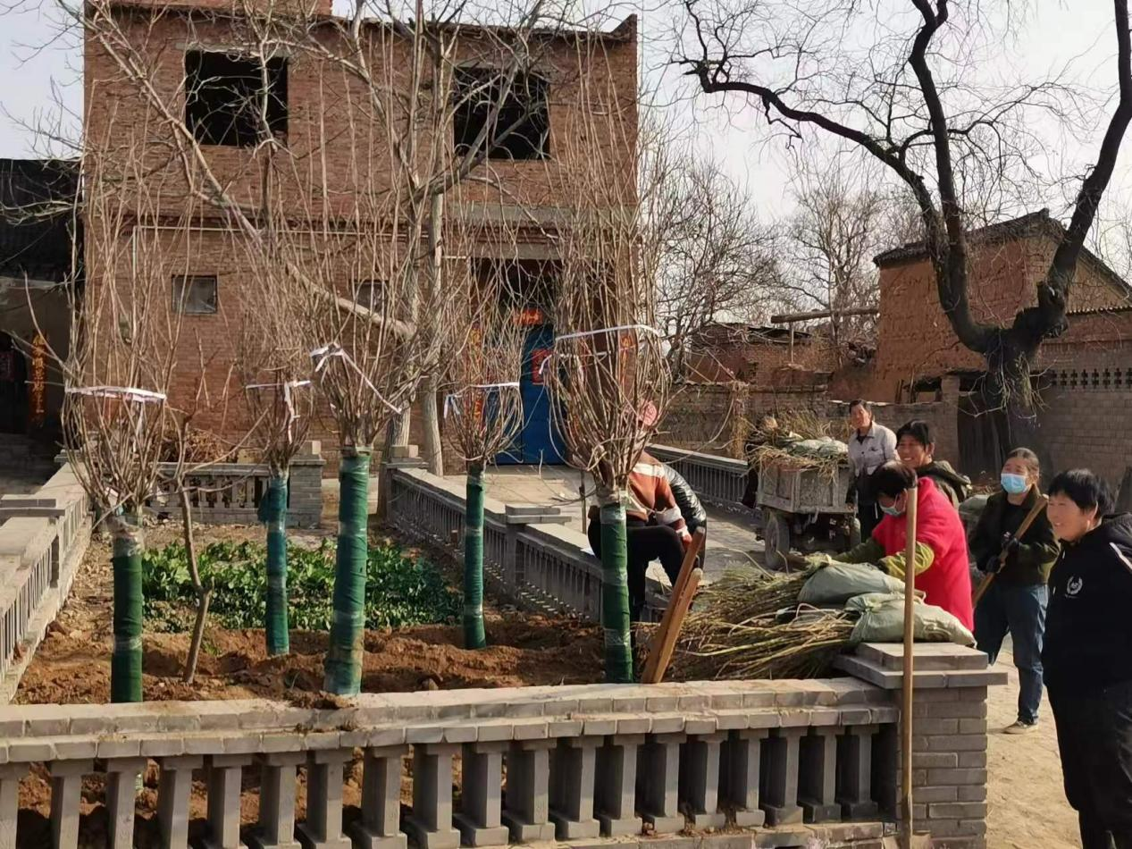 孟津区白鹤镇:植树添新绿 不负好时光-大象网
