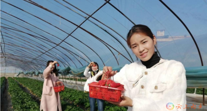 微信截图_20221226083413.png