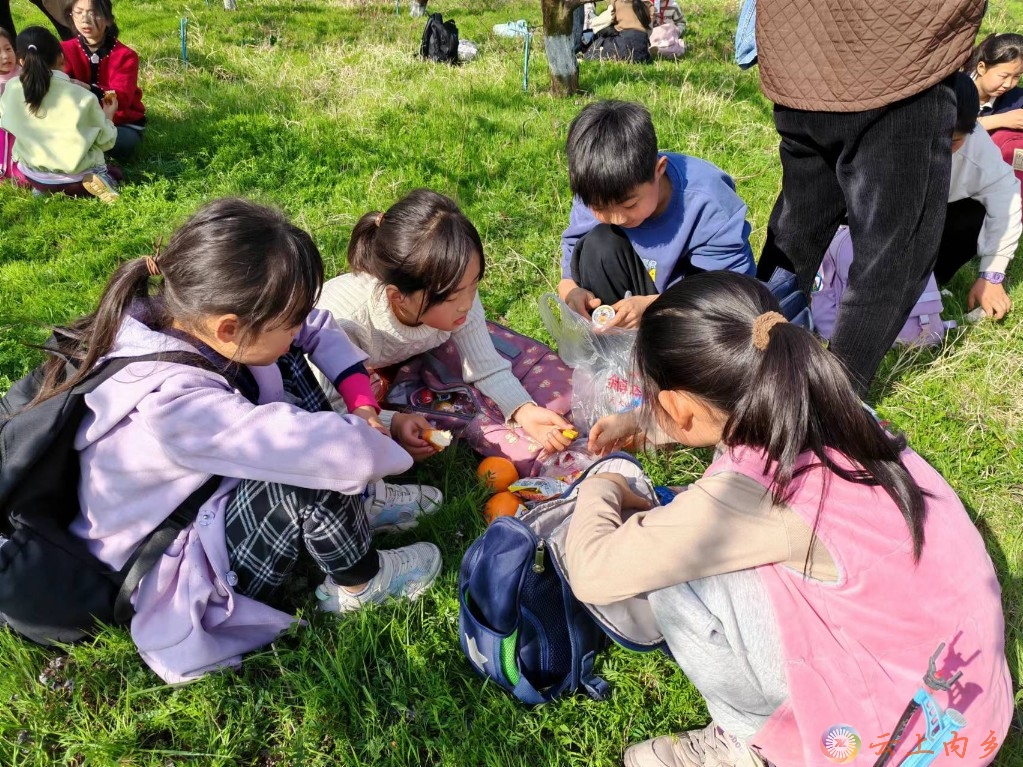 师岗镇郭营村小学开展春游踏青活动-大象网