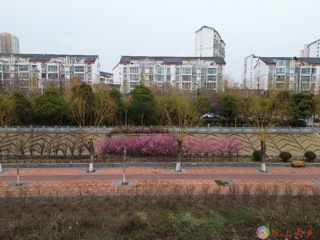微信图片_20250305172356.jpg 微信图片_20250305172356.jpg