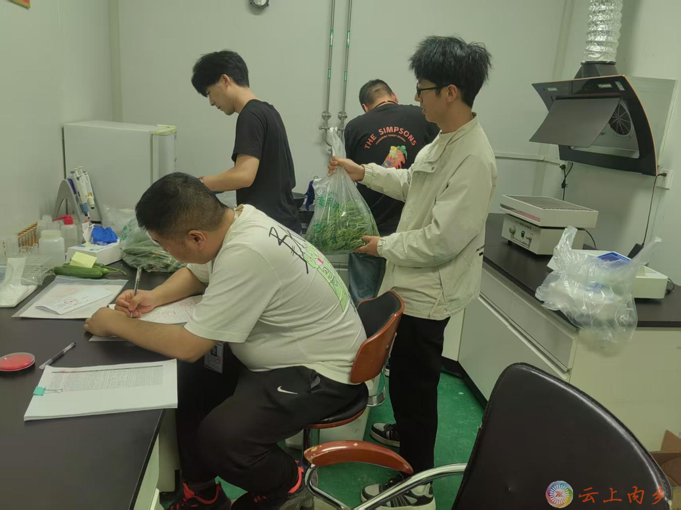 图片1.png